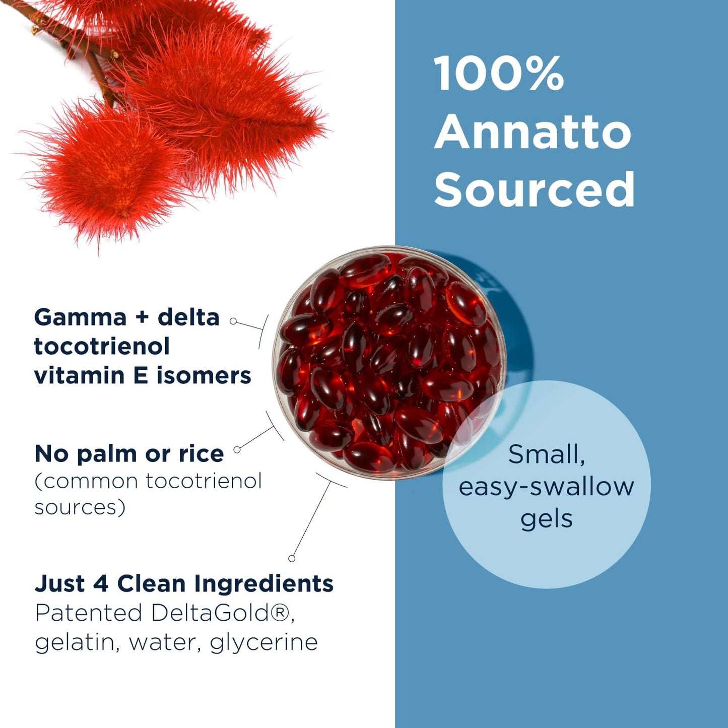 Designs for Health Annatto-E 300mg Tocotrienols Vitamin E - Delta + Gamma Tocotrienols to Support Heart Health, Eye Health, Healthy Aging - DeltaGold Antioxidants Supplement (60 Vitamin E Softgels)