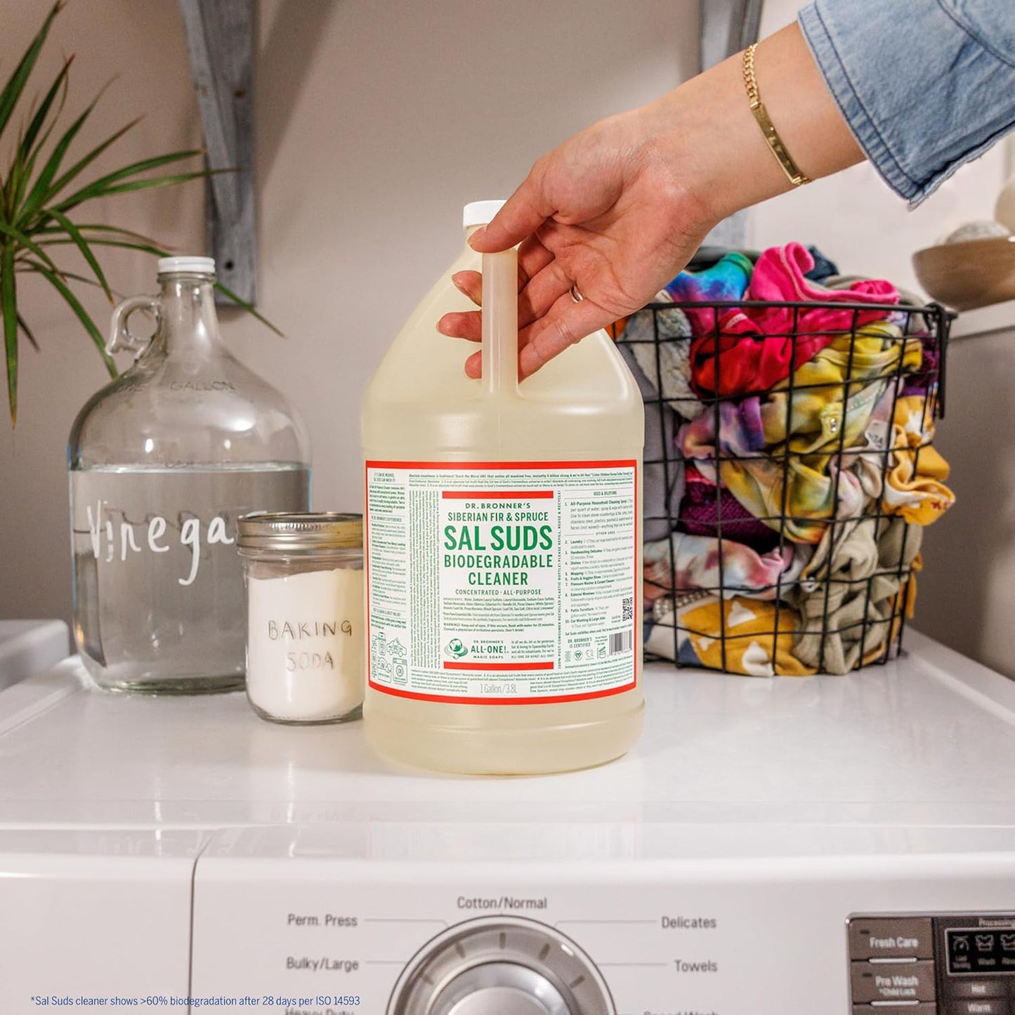 Sal Suds Biodegradable Cleaner (1 Gallon) - All-Purpose, Pine Cleaner for Floors, Laundry and Dishes, Concentrated, Cuts Grease and Dirt, Powerful Formula