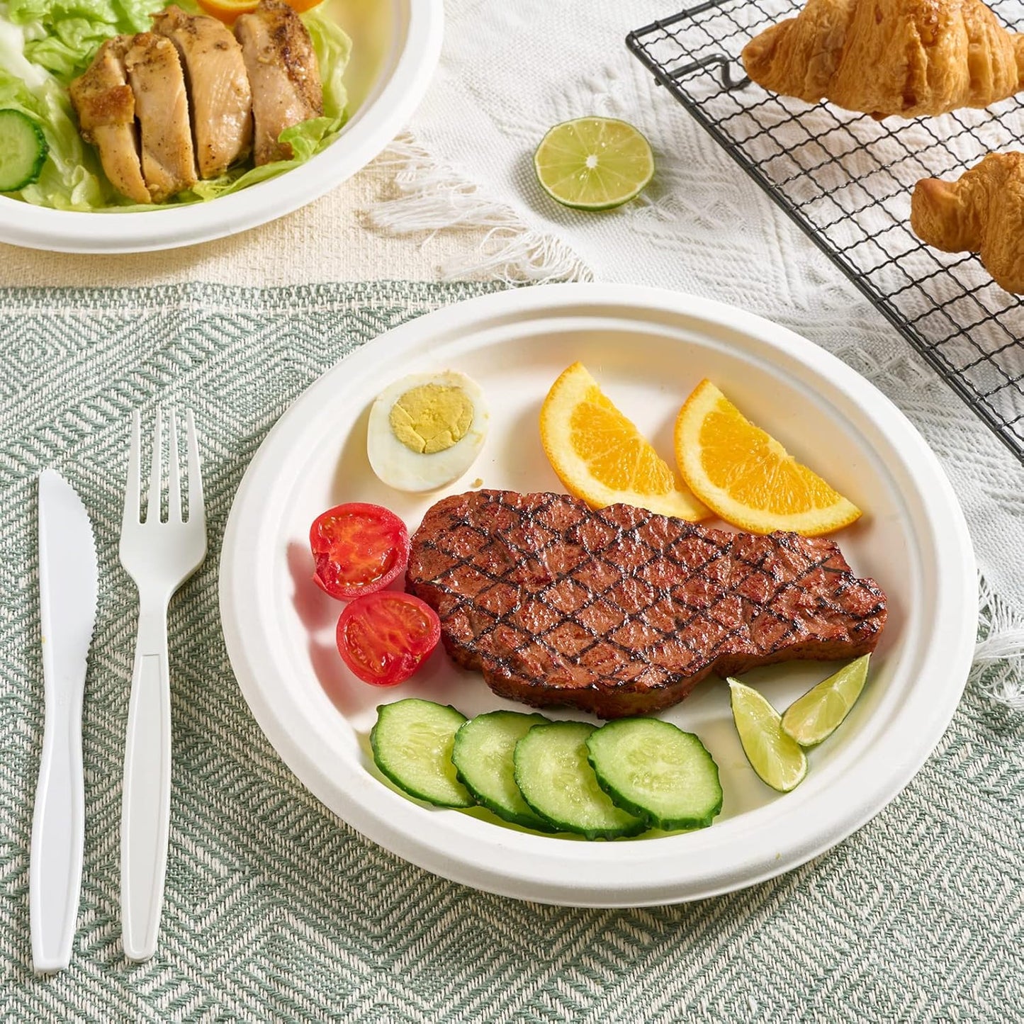 Vplus 500 Pack Paper Plates 9 inch 100% Compostable, Heavy-Duty Disposable Paper Plates Bagasse Natural Biodegradable Eco-Friendly Sugarcane(White)